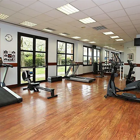 酒店 千禧国际巴黎查尔斯戴高乐酒店 鲁瓦西昂法兰西