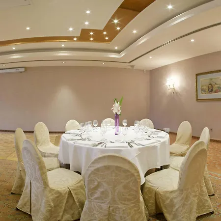 千禧国际巴黎查尔斯戴高乐酒店 酒店