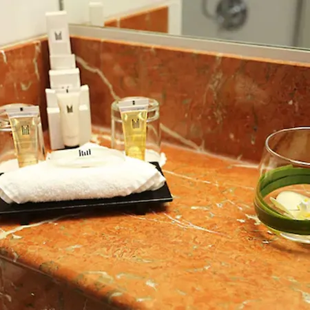 酒店 千禧国际巴黎查尔斯戴高乐酒店 鲁瓦西昂法兰西