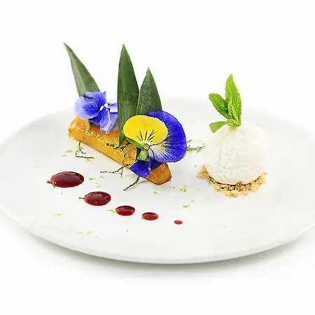 Millennium Paris Charles De Gaulle Otel 4*