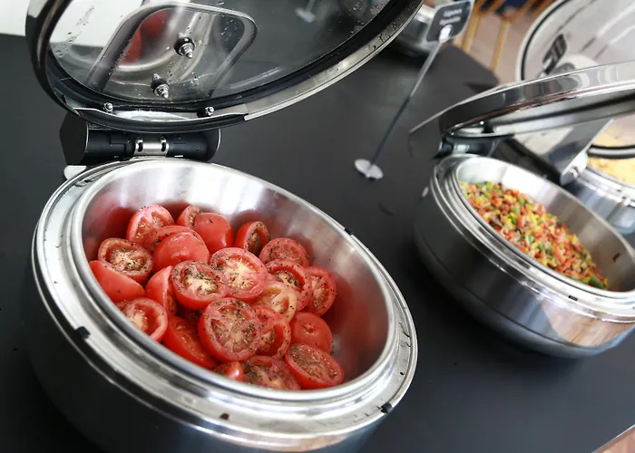 밀레니엄 호펠 파리 샤를 드골 루와시 앙 프랑스