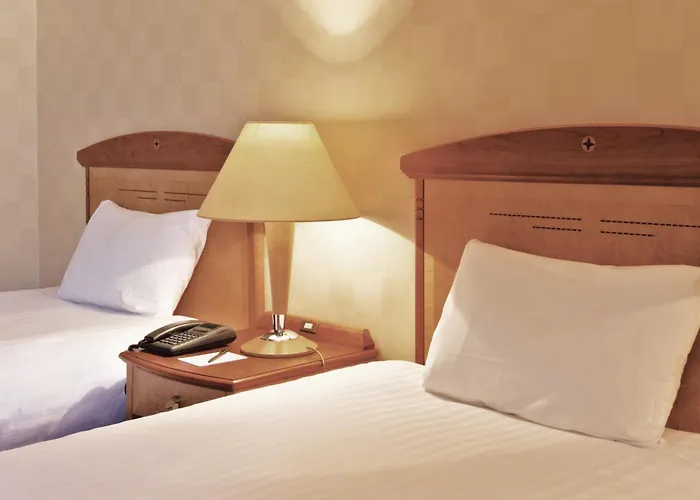 밀레니엄 호펠 파리 샤를 드골 4* 루와시 앙 프랑스